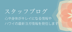 スタッフブログ 心や身体がキレイになる情報やハワイの最新ヨガ情報を発信します